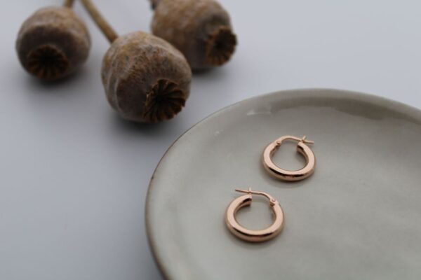 ORECCHINI CERCHI BASIC MINI